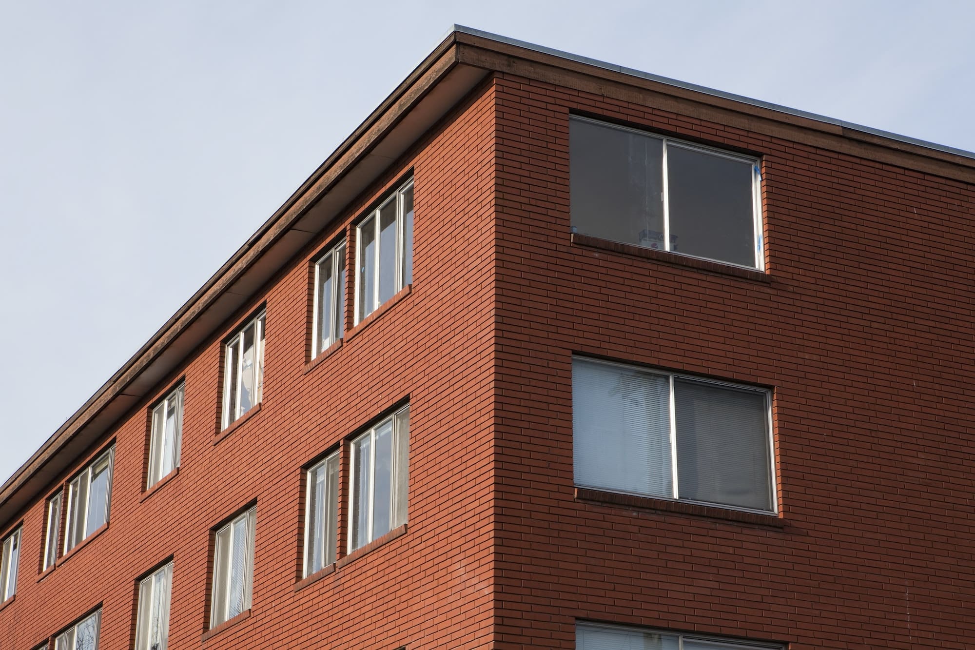 Corner of a building, low angle view, windows in rows, residential or commercial.